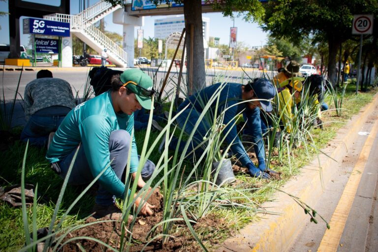 743b9239-d200-4a7c-a4f8-bfd9fdcafbcd