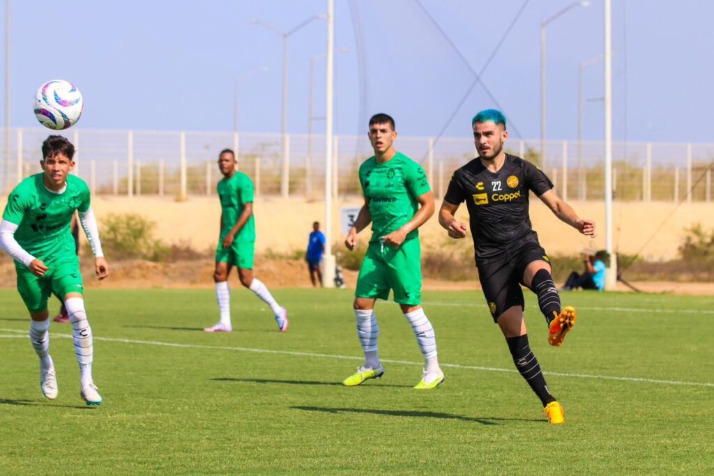 7b98e815-3e92-4287-b4c3-7f4b2703e28d