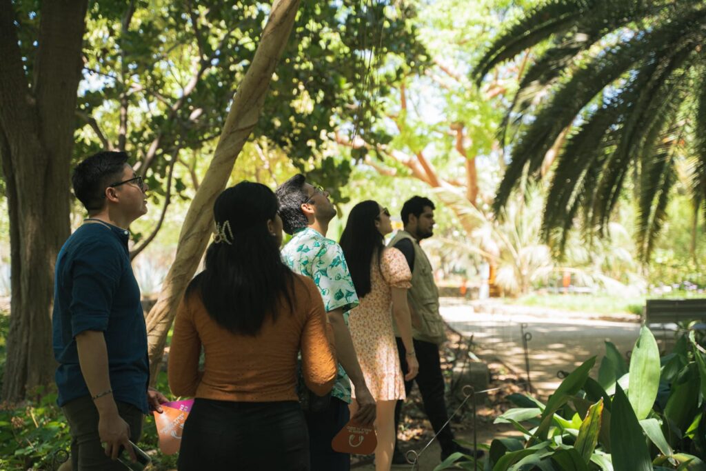 6aff8231-95a8-4586-9806-7bff096f104b