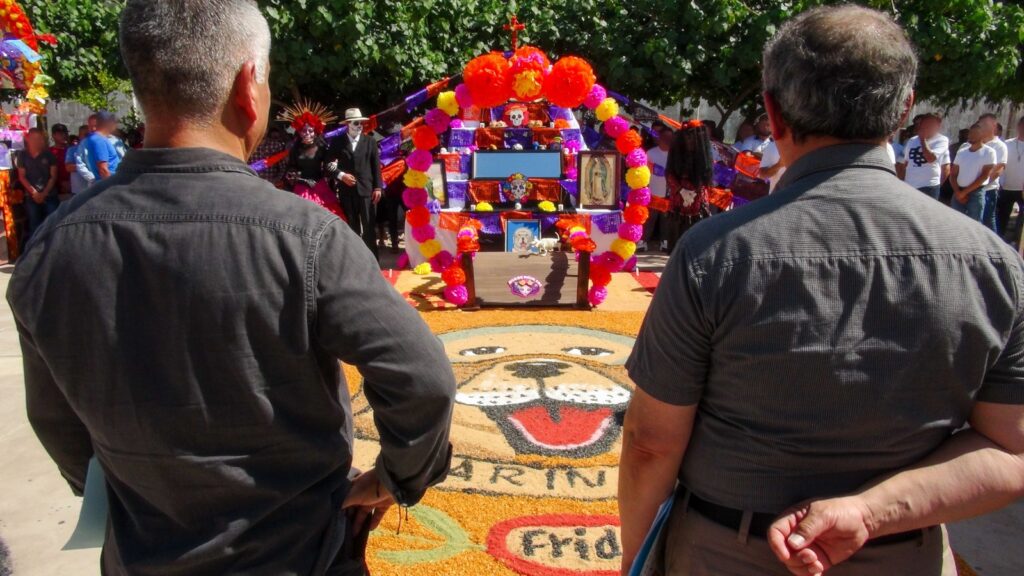 facad90a-d3e3-481a-8f38-5f46516b3dd2