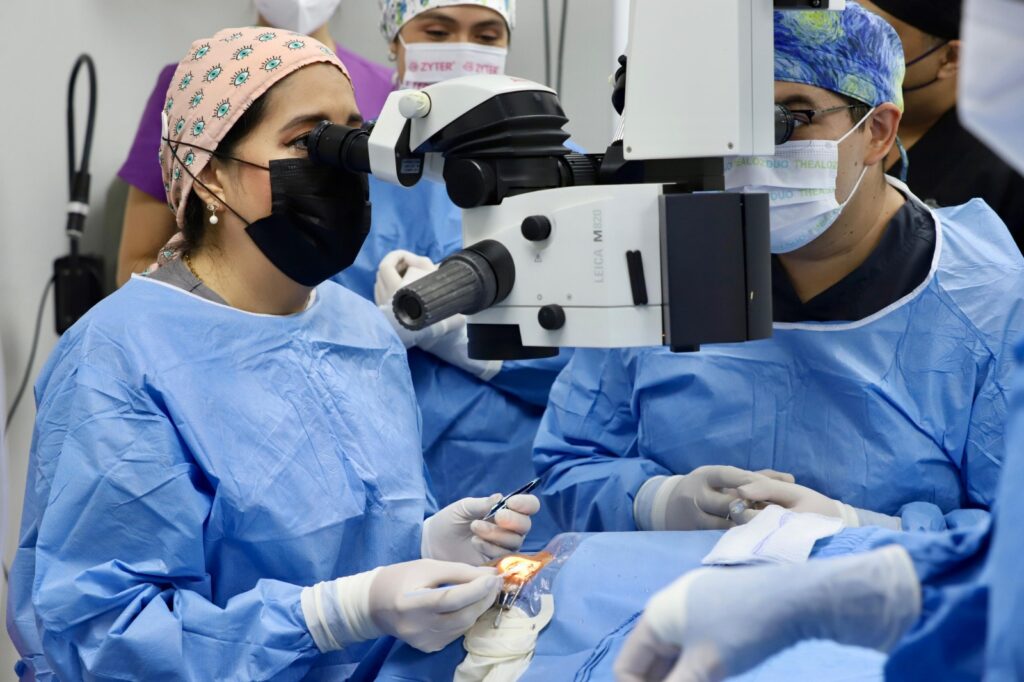 4bd87f68-b771-4e89-b0a1-2775fdcad83f