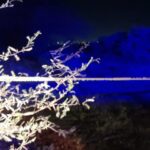 IMG-20240116-WA0023