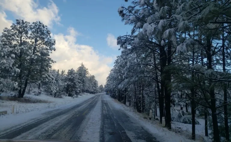 chihuahua-nevadas-24ene24