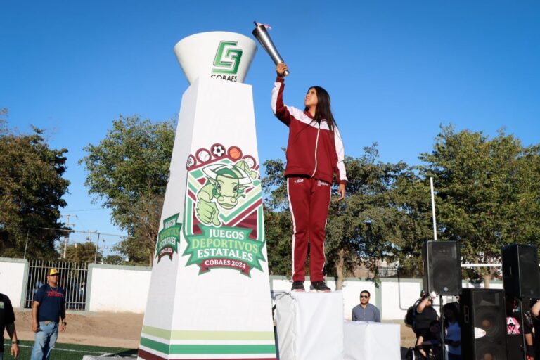 43b6de2a-53e0-47ad-ba8c-ef1647edb067