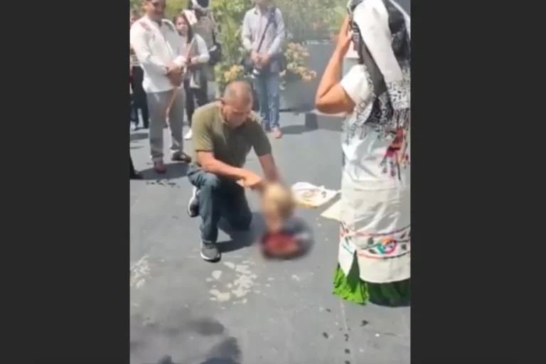 animales-sacrificados-senado-1
