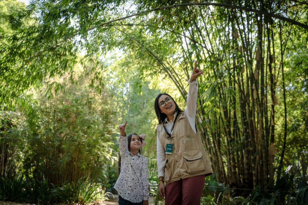 baef0d22-b6ce-48cc-a0f0-2178ec7ebeae