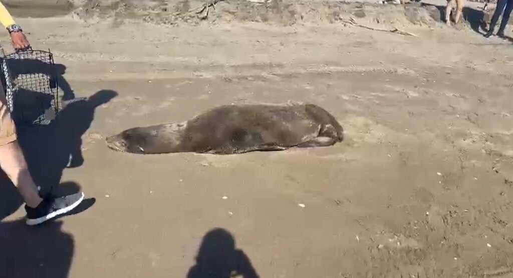 c5b974ab-f85d-4793-bc6c-c3d73b291ab5