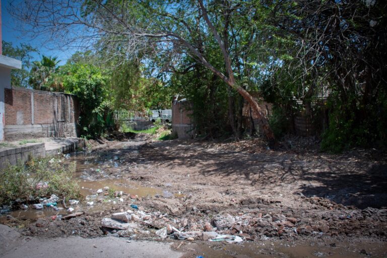 11618e52-81be-4c1a-a9e2-e9b18999284c