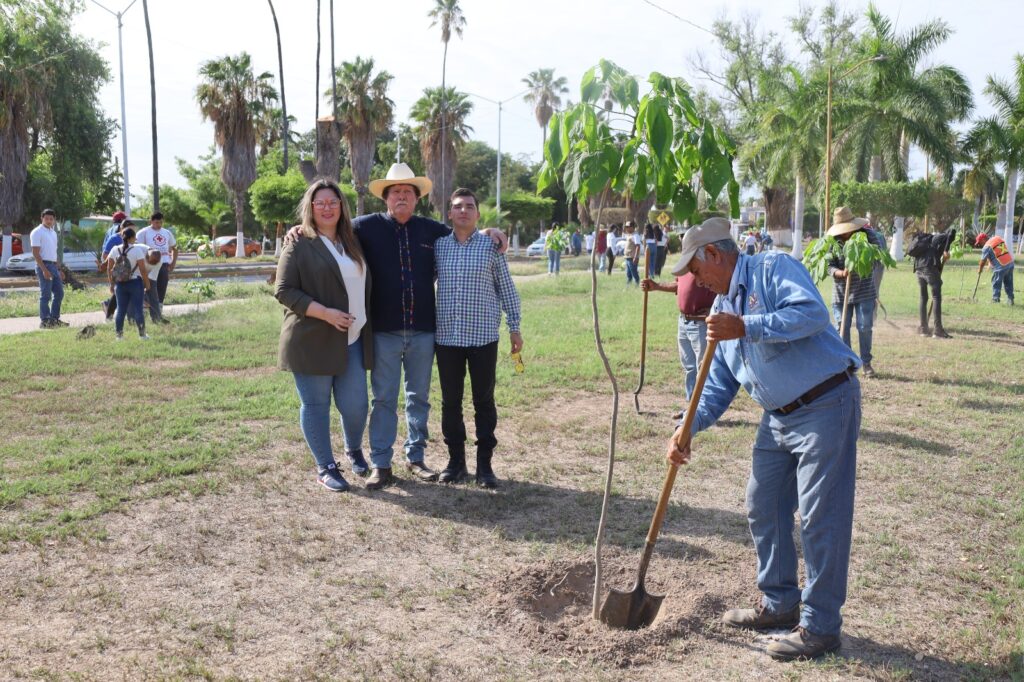Dia del Árbol