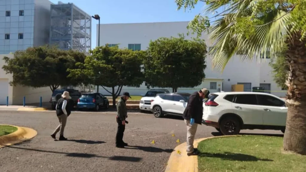 IMG_20240705_152625_446