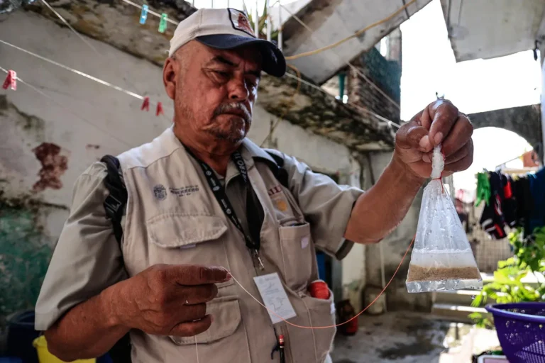 dengue-en-guerrero
