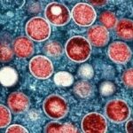 f425x230-48563_62545_5050