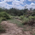 hallan-craneo-en-guasave-1140x856