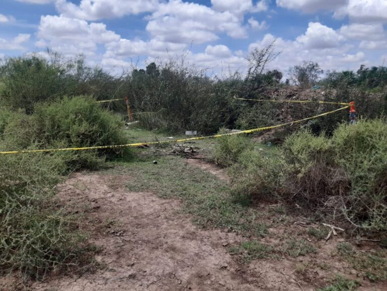 hallan-craneo-en-guasave-1140x856