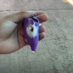 IMG_20240912_112958