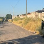 hallan-occiso-en-colinas-del-bosque1-1140x641