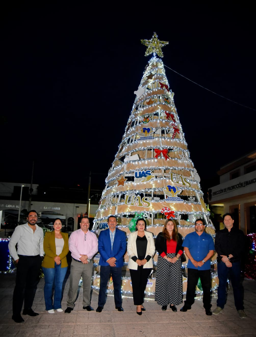 ENCENDIDO ÁRBOL (2)