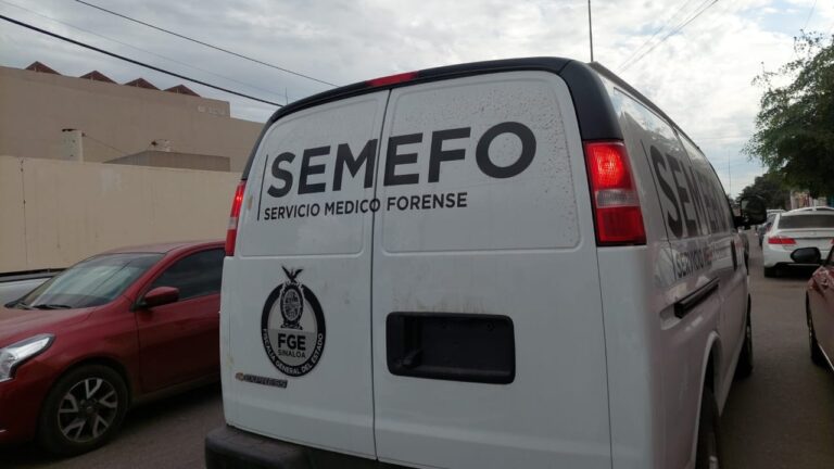 WhatsApp-Image-2025-01-08-at-3.12.55-PM