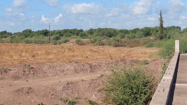 WhatsApp-Image-2025-01-09-at-12.09.07-PM