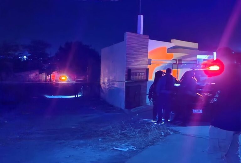 WhatsApp-Image-2025-01-12-at-9.02.18-AM-1024x696