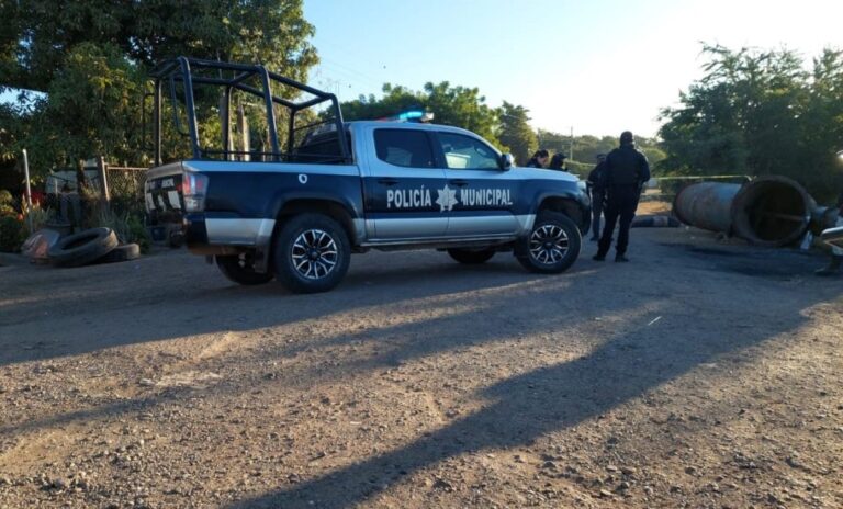 WhatsApp-Image-2025-01-14-at-8.48.58-AM-1024x618