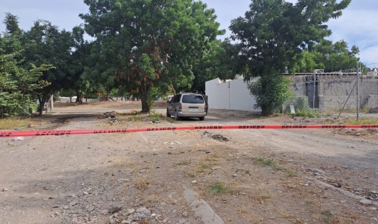 WhatsApp-Image-2025-01-19-at-3.11.54-PM-1024x608 (1)