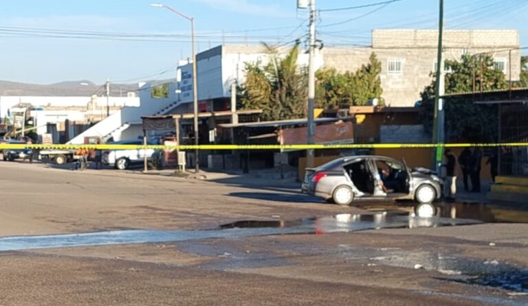 WhatsApp-Image-2025-01-22-at-5.50.25-PM