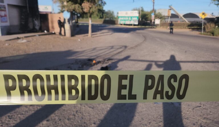 WhatsApp-Image-2025-01-26-at-10.21.02-AM