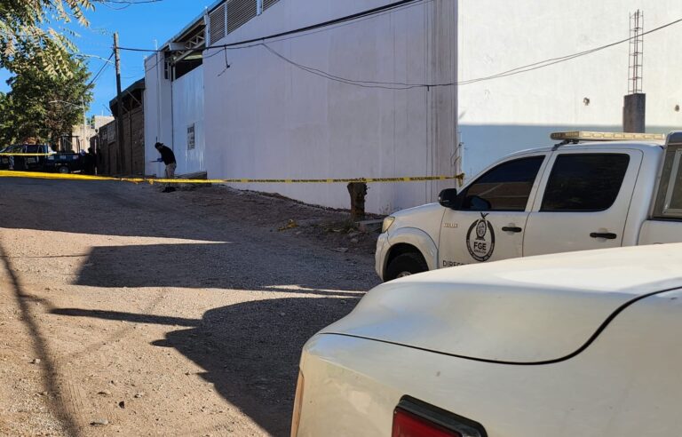 WhatsApp-Image-2025-01-26-at-10.22.51-AM