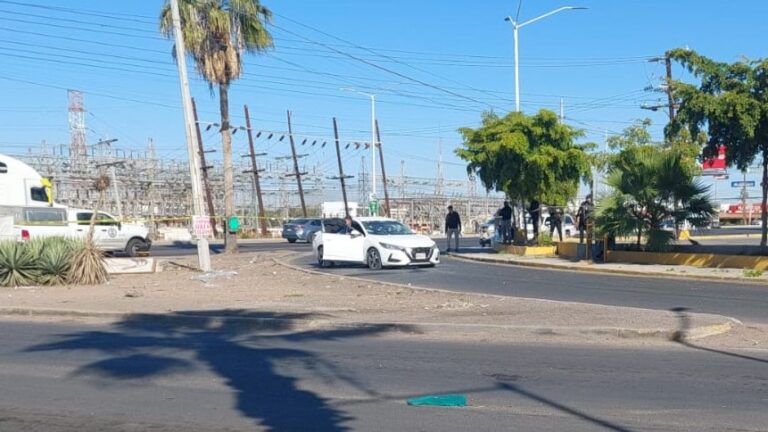 WhatsApp-Image-2025-01-31-at-11.04.28-AM