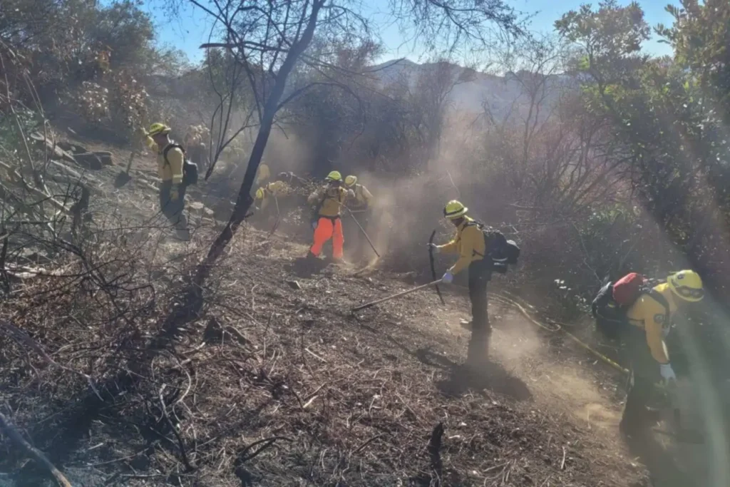 delegacion-mexicana-incendios-los-angeles-california-1