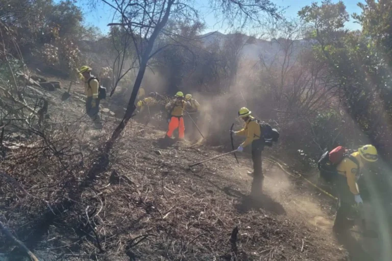 delegacion-mexicana-incendios-los-angeles-california-1