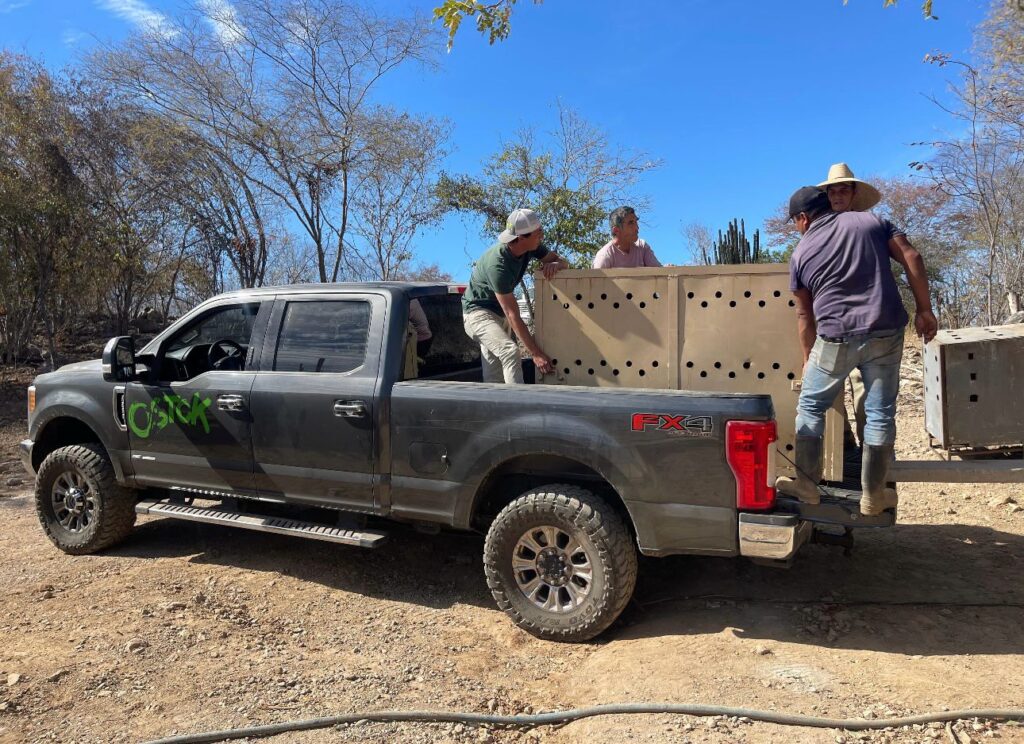 172ac917-43b4-42ec-a3c3-12852b38962f