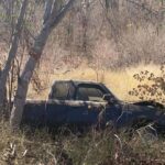 IMG-20250209-WA0041