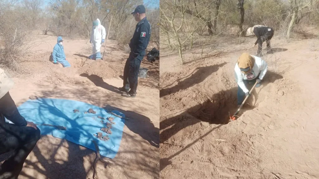 hallazgo-de-fosas-clandestinas-en-hermosillo-sonora