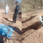 hallazgo-de-fosas-clandestinas-en-hermosillo-sonora