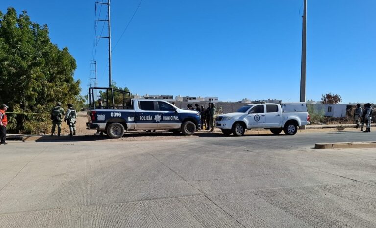 WhatsApp-Image-2025-03-13-at-9.58.39-AM