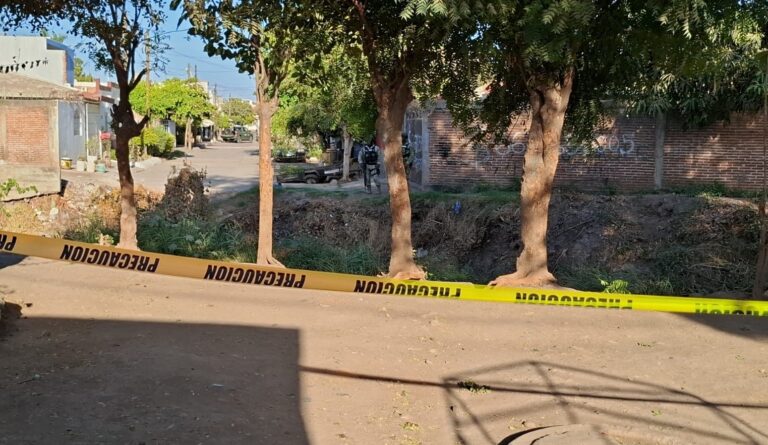 WhatsApp-Image-2025-03-17-at-5.48.34-PM