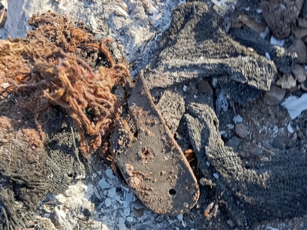 InShot_20250407_220646612