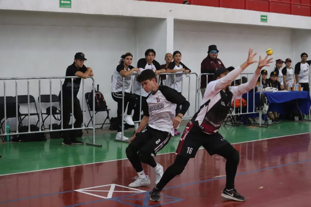 IMG-20250525-WA0081