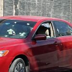 IMG_20250430_183550
