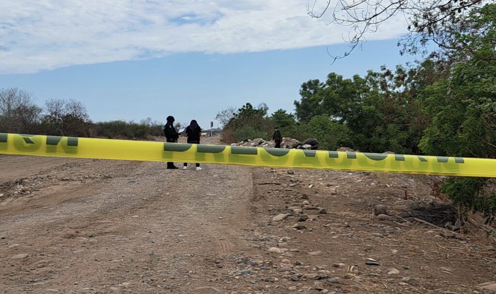 IMG_20250624_155851-scaled