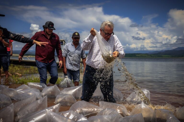 WhatsApp Image 2025-08-15 at 7.47.30 PM