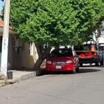 IMG-20250906-WA0054