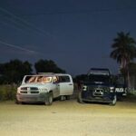 IMG-20251004-WA0113