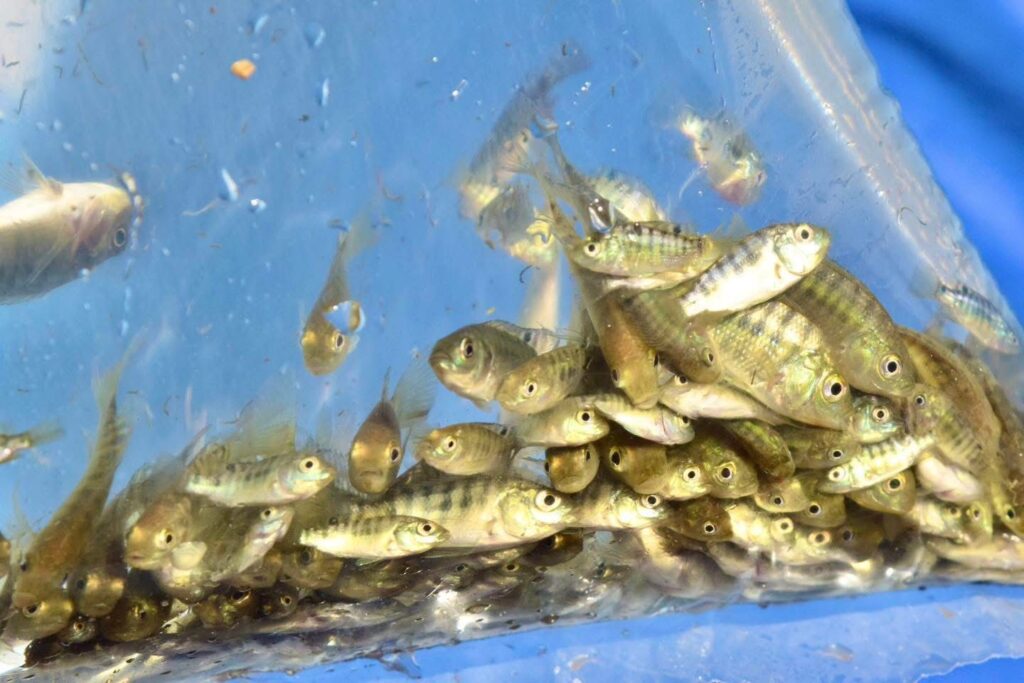 IMG-20251009-WA0026