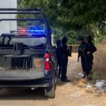 IMG-20251231-WA0014
