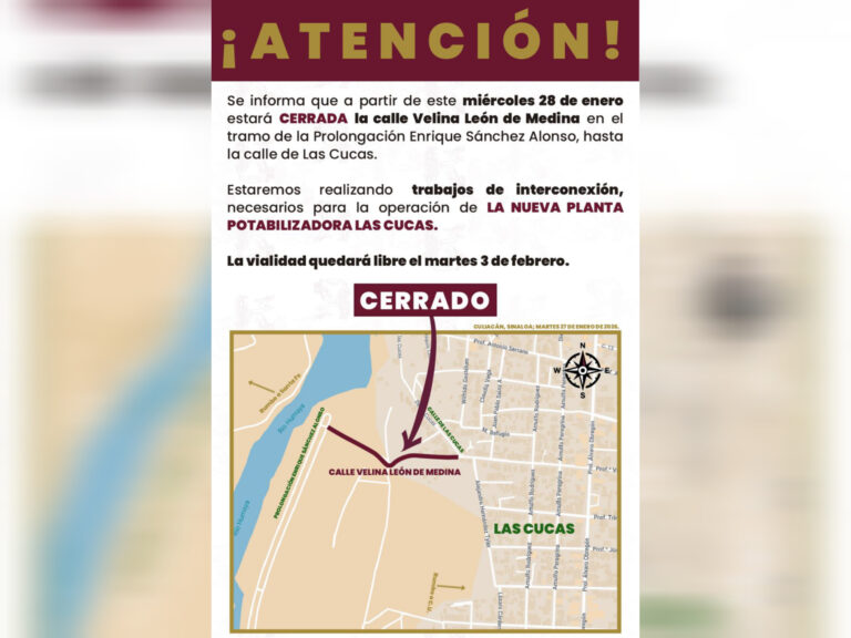 InShot_20260127_145410952