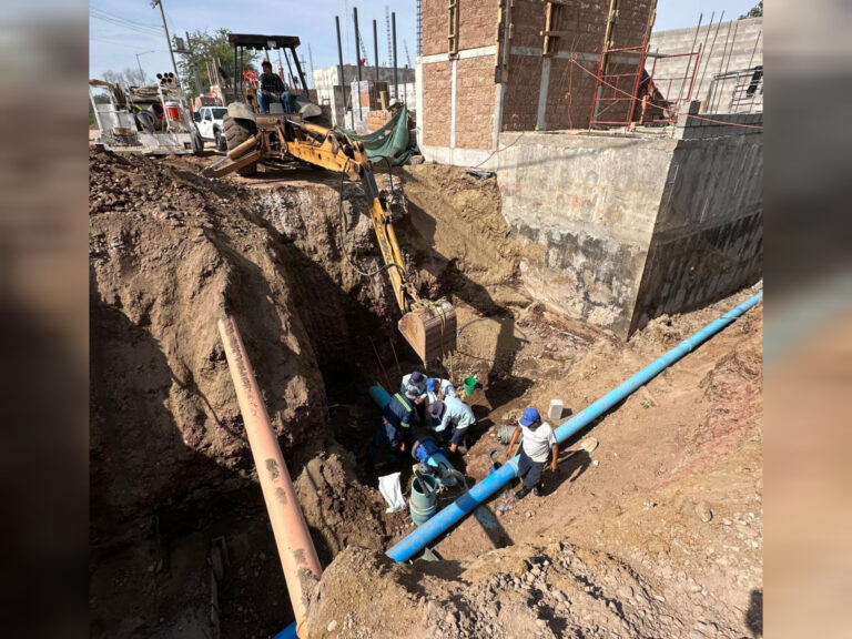 InShot_20260202_100755768