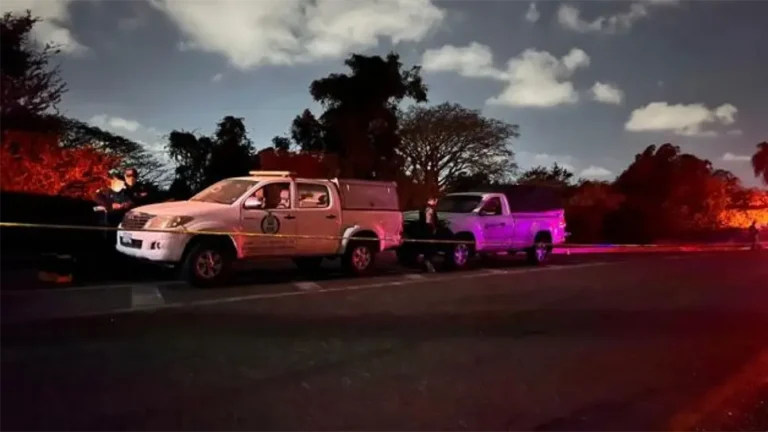 whatsapp-image-2026-03-28-at-90509-pm-1-7f143751-64c0c0d0-focus-0-0-966-544